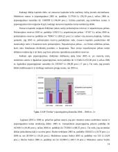 UAB “Emlita” finansinė analizė  10 puslapis