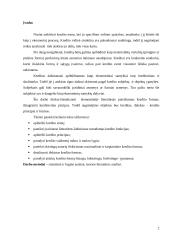 Įmonės finansavimo alternatyvų tyrimas 2 puslapis