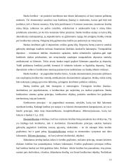 Įmonės finansavimo alternatyvų tyrimas 13 puslapis