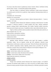 Įmonės finansavimo alternatyvų tyrimas 14 puslapis