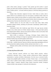 Įmonės finansavimo alternatyvų tyrimas 15 puslapis