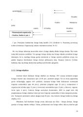 Įmonės finansavimo alternatyvų tyrimas 18 puslapis