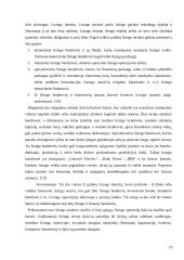 Įmonės finansavimo alternatyvų tyrimas 19 puslapis