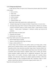 Įmonės finansavimo alternatyvų tyrimas 20 puslapis