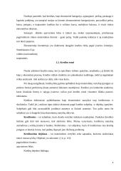 Įmonės finansavimo alternatyvų tyrimas 4 puslapis