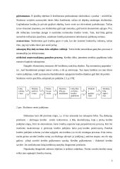 Įmonės finansavimo alternatyvų tyrimas 5 puslapis