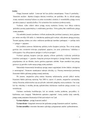 Pinigų finansinė analizė 2 puslapis