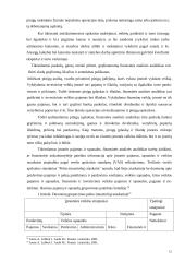 Pinigų finansinė analizė 11 puslapis