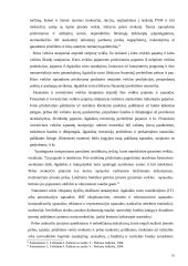 Pinigų finansinė analizė 15 puslapis