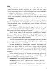 Naudos akcininkams ir papildomos vertės analizė 2 puslapis