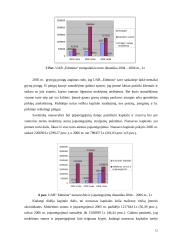 Naudos akcininkams ir papildomos vertės analizė 11 puslapis