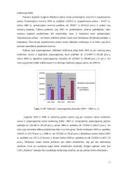 Naudos akcininkams ir papildomos vertės analizė 12 puslapis