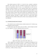 Naudos akcininkams ir papildomos vertės analizė 15 puslapis