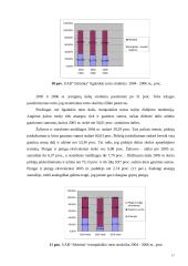 Naudos akcininkams ir papildomos vertės analizė 16 puslapis