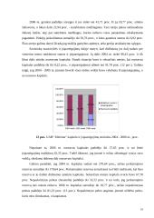 Naudos akcininkams ir papildomos vertės analizė 17 puslapis