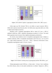 Naudos akcininkams ir papildomos vertės analizė 18 puslapis