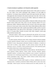 Naudos akcininkams ir papildomos vertės analizė 3 puslapis