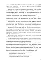 Naudos akcininkams ir papildomos vertės analizė 4 puslapis