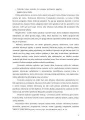 Naudos akcininkams ir papildomos vertės analizė 5 puslapis