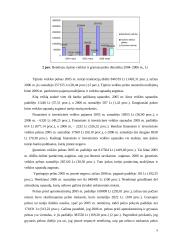 Naudos akcininkams ir papildomos vertės analizė 8 puslapis