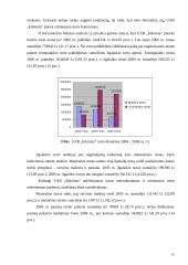 Naudos akcininkams ir papildomos vertės analizė 9 puslapis