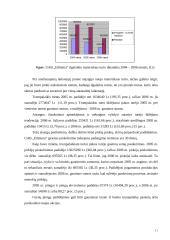 Naudos akcininkams ir papildomos vertės analizė 10 puslapis