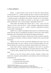 "Kaišiadorių paukštynas" finansinė analizė 11 puslapis