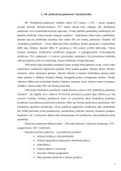 "Kaišiadorių paukštynas" finansinė analizė 3 puslapis