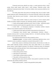 AB "Kaišiadorių paukštynas" marketingo strategija 11 puslapis