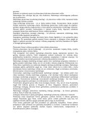 Marketingo koncepcijos 11 puslapis