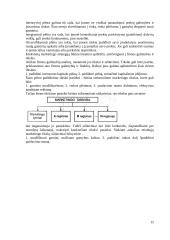 Marketingo koncepcijos 12 puslapis