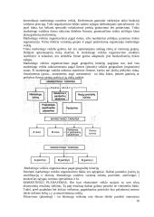 Marketingo koncepcijos 10 puslapis