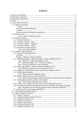 Logistiniai kapitalo kaupimo modeliai 2 puslapis