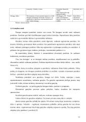 Logistiniai kapitalo kaupimo modeliai 12 puslapis