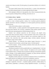 Logistiniai kapitalo kaupimo modeliai 15 puslapis