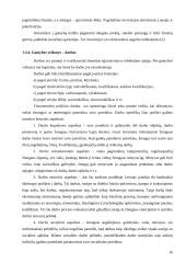 Logistiniai kapitalo kaupimo modeliai 16 puslapis