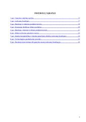 Logistiniai kapitalo kaupimo modeliai 5 puslapis