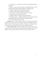 Logistiniai kapitalo kaupimo modeliai 9 puslapis