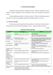 Logistiniai kapitalo kaupimo modeliai 10 puslapis