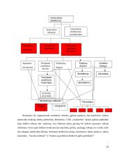 UAB „Lankmelita“ praktikos atsakaita  12 puslapis