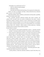 UAB „Lankmelita“ praktikos atsakaita  13 puslapis