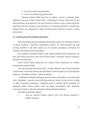 UAB „Lankmelita“ praktikos atsakaita  17 puslapis