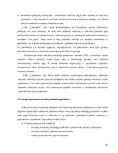 UAB „Lankmelita“ praktikos atsakaita  10 puslapis