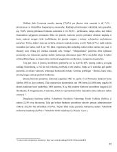 Prekybos finansavimo būdai  20 puslapis