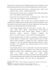 AB “Venta” finansinės būklės vertinimo ir kapitalo efektyvumo gerinimo galimybės 13 puslapis