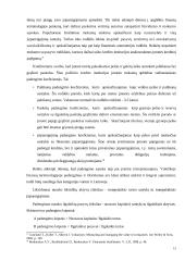 AB “Venta” finansinės būklės vertinimo ir kapitalo efektyvumo gerinimo galimybės 15 puslapis