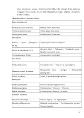 AB “Venta” finansinės būklės vertinimo ir kapitalo efektyvumo gerinimo galimybės 18 puslapis