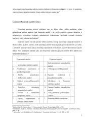 AB “Venta” finansinės būklės vertinimo ir kapitalo efektyvumo gerinimo galimybės 6 puslapis