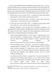 Statybos įmonės finansinė analizė 13 puslapis