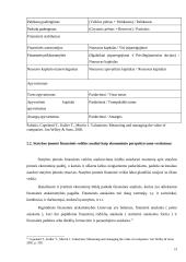 Statybos įmonės finansinė analizė 19 puslapis